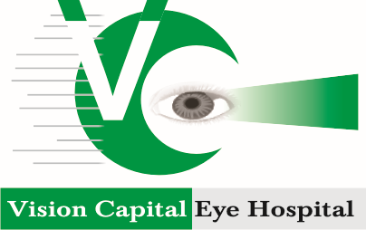 Vision Capital logo